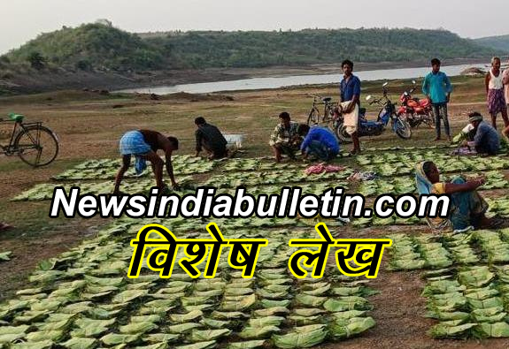 Tendu Leaf: विशेष लेख आज छत्तीसगढ़ में तेंदूपत्ता संग्रहण 500 करोड़ रूपए से पार, संग्राहकों में बिखरी खुशियां अपार