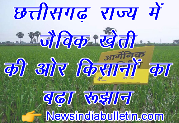 Chhattisgarh राज्य में जैविक खेती की ओर किसानों का बढ़ा रूझान